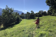 WeinSein, August 2020