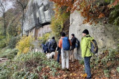 WerdenVergehen Herbst 22