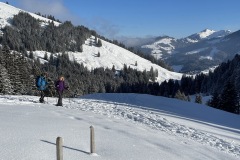 Spontaner Freitag Jan. 2021