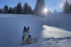 Schwarzsee Jan. 2021