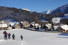 Neuschnee im Emmental, Februar 2018